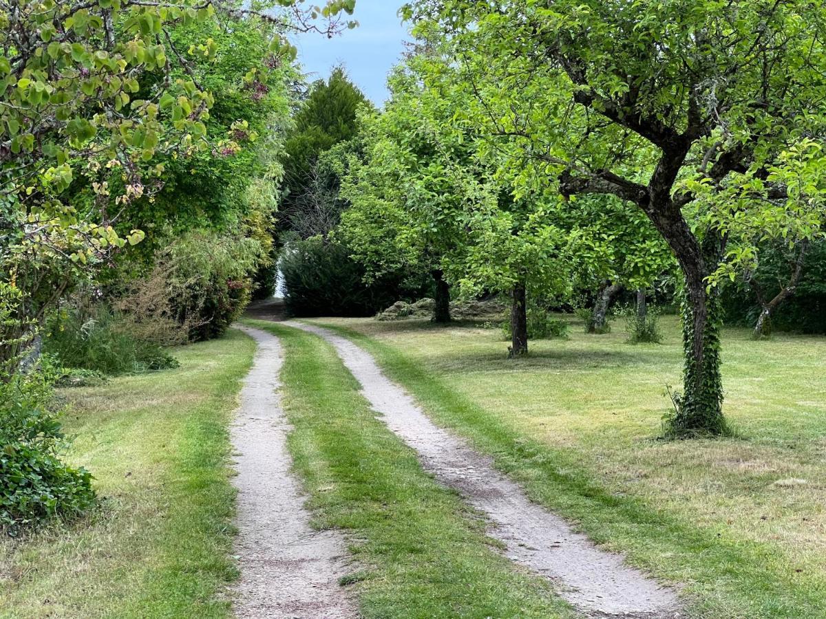 Les jardins de l'Hermitage Cellettes  Extérieur photo
