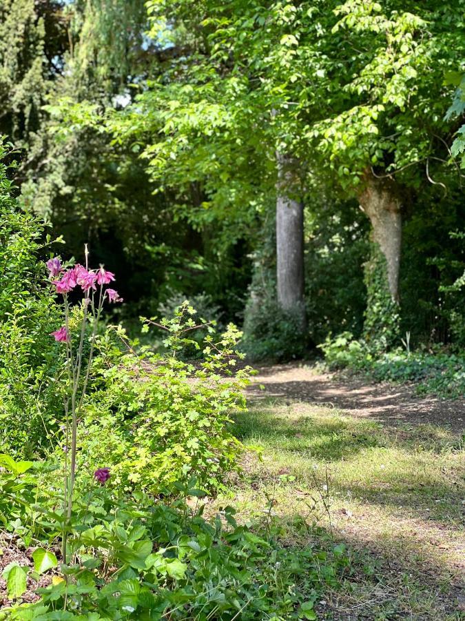 Les jardins de l'Hermitage Cellettes  Extérieur photo
